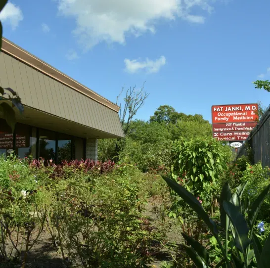 Lush outdoor healing garden with pathways